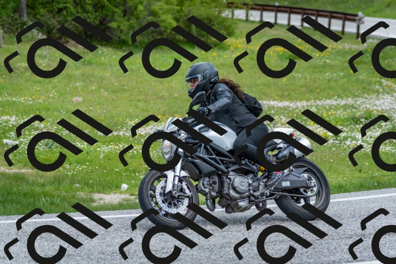 202505181123-DSC_8387_c2