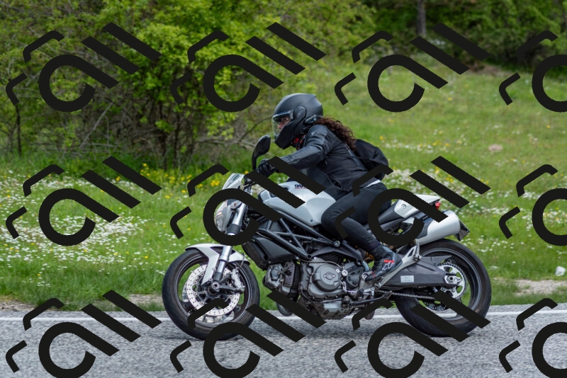 202505181123-DSC_8388_c2