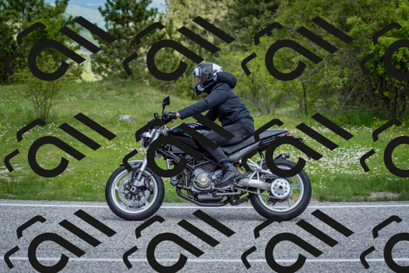 202505181123-DSC_8392_c2