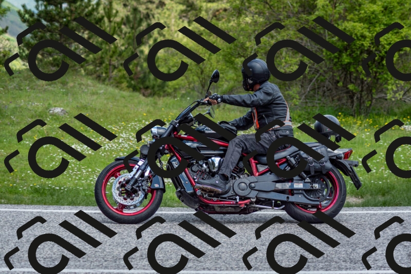 202505181123-DSC_8398_c2