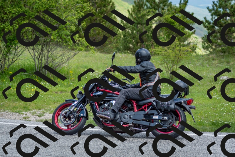 202505181123-DSC_8399_c2