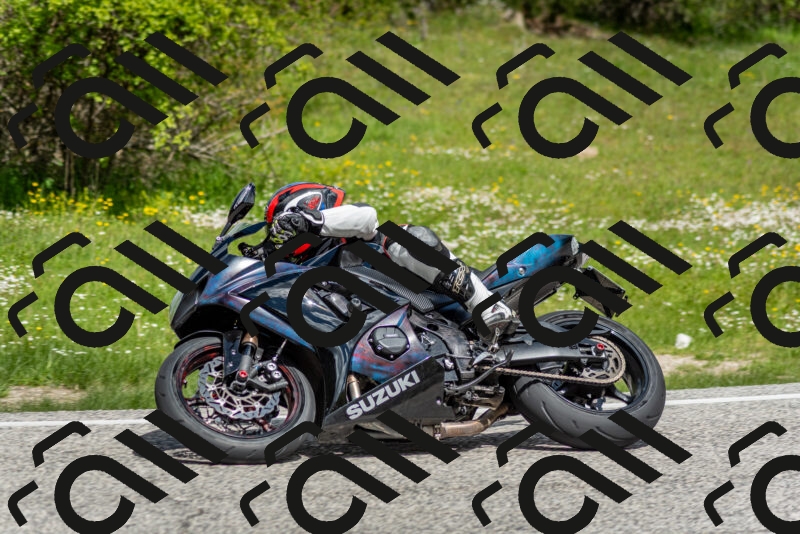 202505181125-DSC_8416_c2