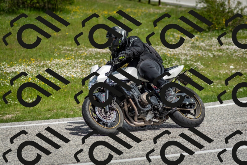 202505181125-DSC_8420_c2