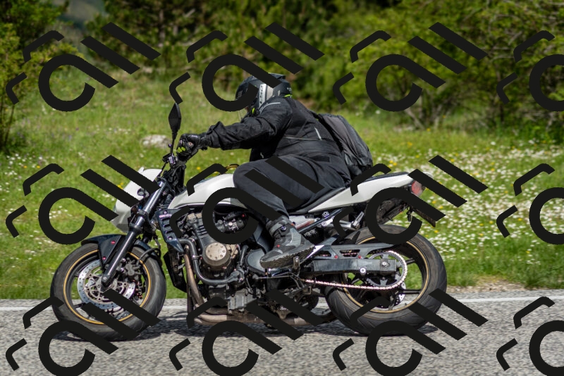 202505181125-DSC_8421_c2