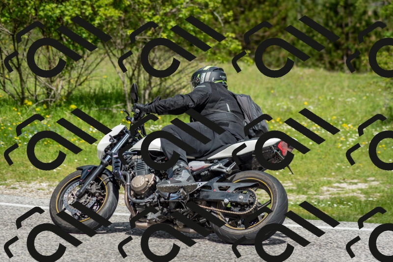 202505181125-DSC_8422_c2