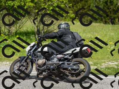 202505181125-DSC_8422_c2