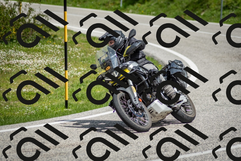 202505181125-DSC_8424_c2