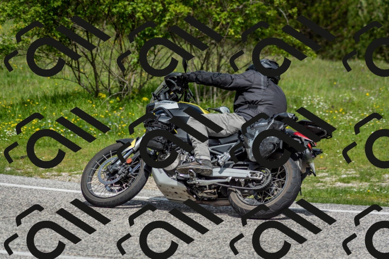 202505181125-DSC_8426_c2