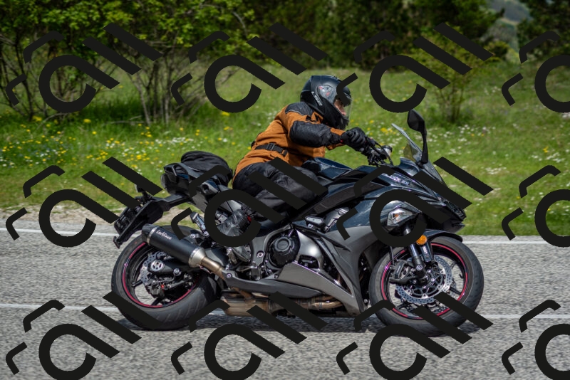 202505181125-DSC_8428_c2