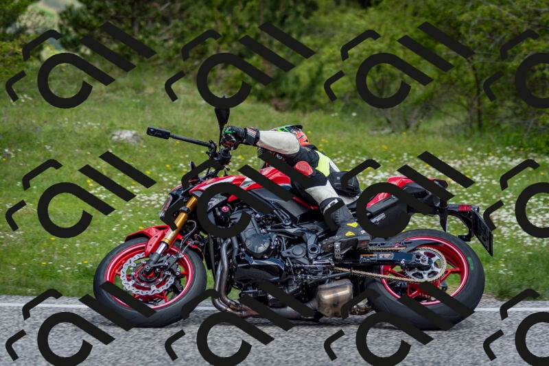 202505181125-DSC_8432_c2