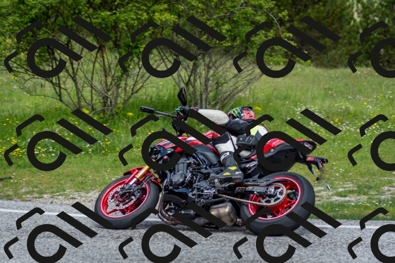 202505181125-DSC_8433_c2