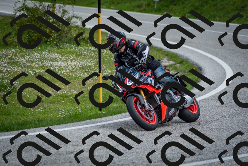 202505181126-DSC_8440_c2