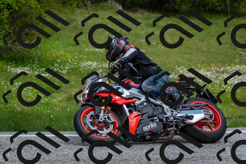 202505181126-DSC_8441_c2