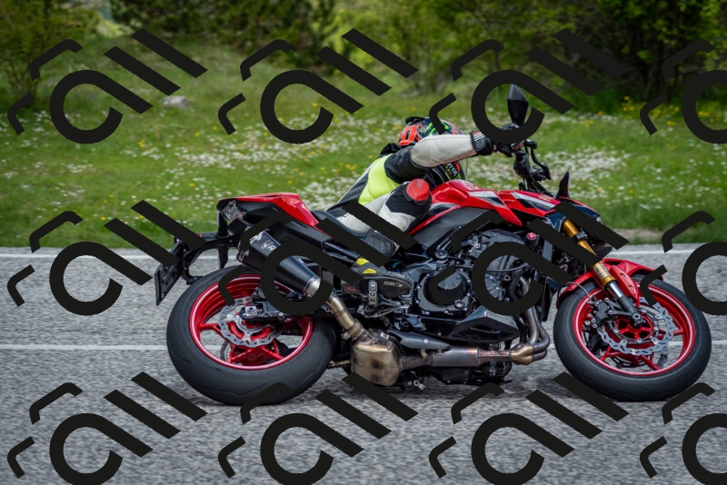 202505181126-DSC_8446_c2