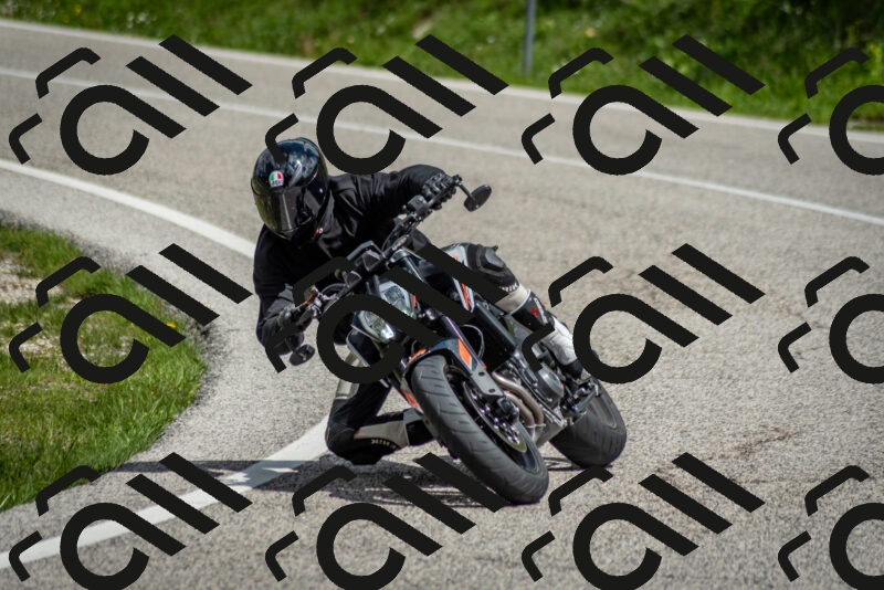 202505181127-DSC_8453_c2