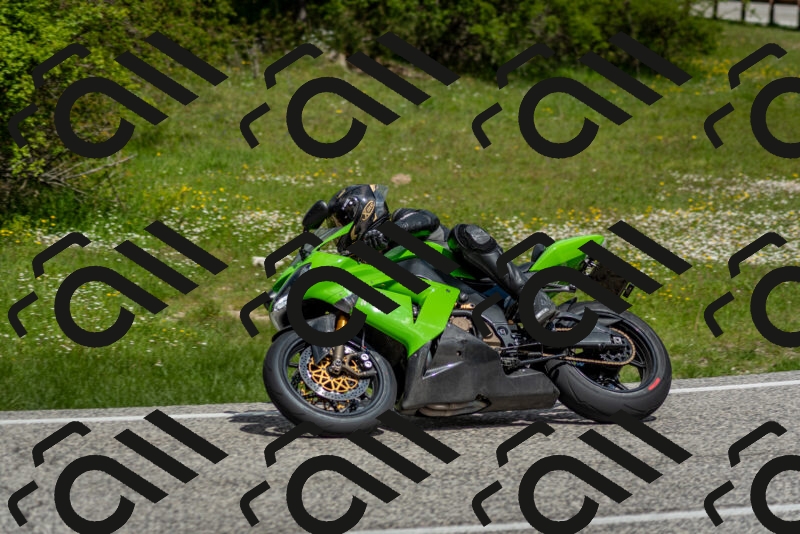 202505181127-DSC_8462_c2