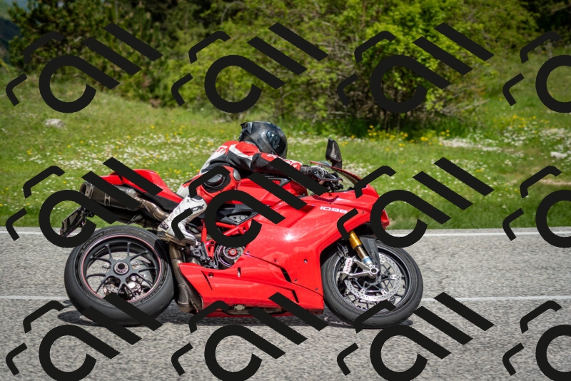 202505181127-DSC_8464_c2