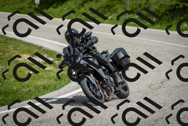 202505181127-DSC_8473_c2