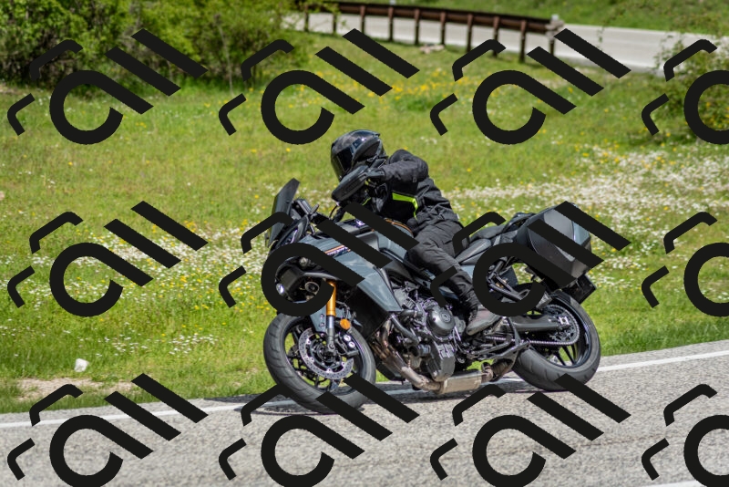 202505181127-DSC_8474_c2