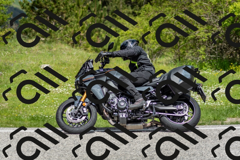 202505181127-DSC_8475_c2