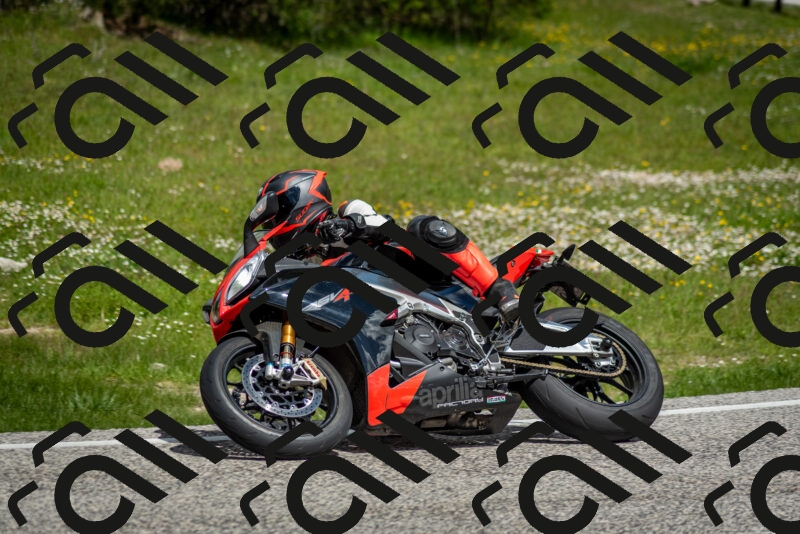 202505181127-DSC_8477_c2