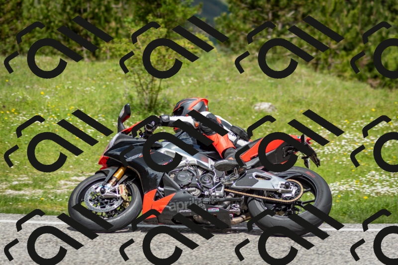 202505181127-DSC_8478_c2