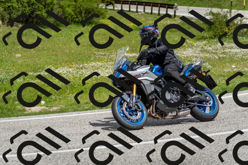 202505181127-DSC_8491_c2