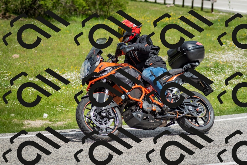 202505181128-DSC_8494_c2