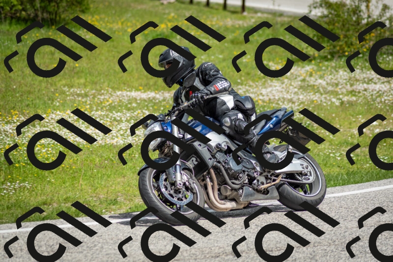 202505181128-DSC_8498_c2