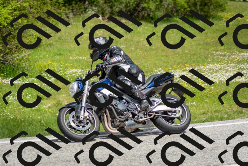 202505181128-DSC_8499_c2