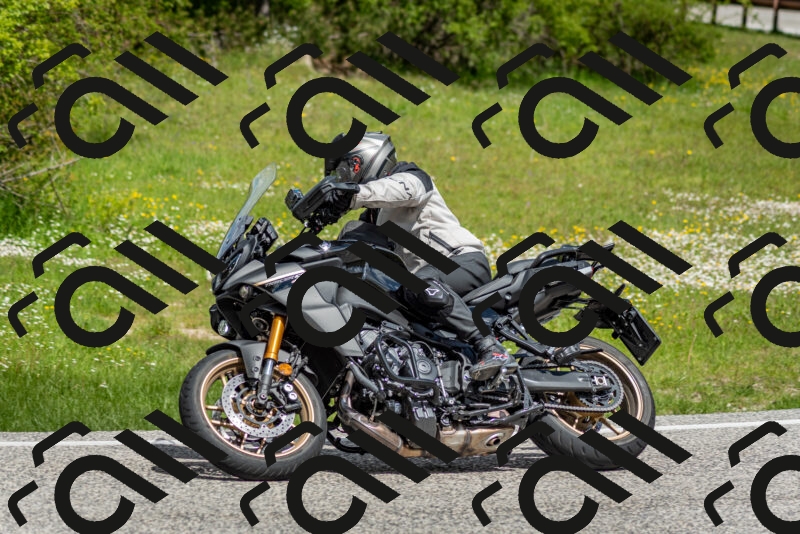 202505181128-DSC_8501_c2