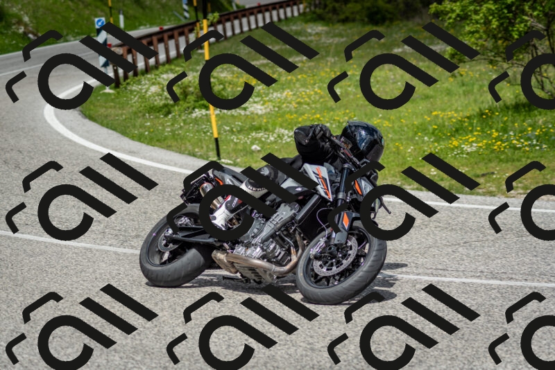 202505181128-DSC_8506_c2