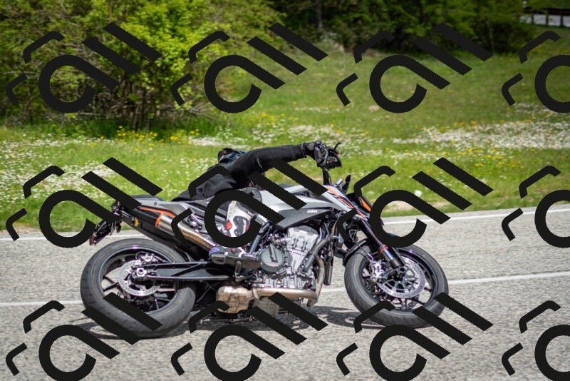 202505181128-DSC_8507_c2