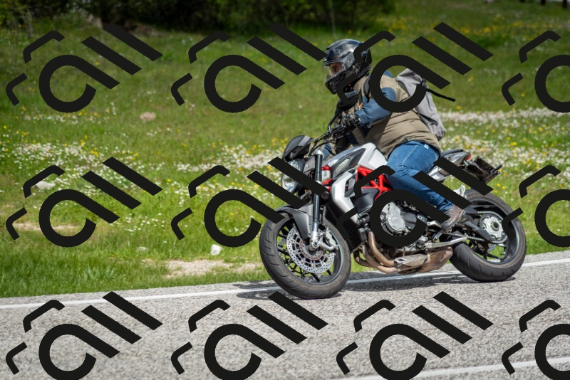 202505181128-DSC_8508_c2