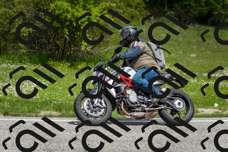 202505181128-DSC_8509_c2