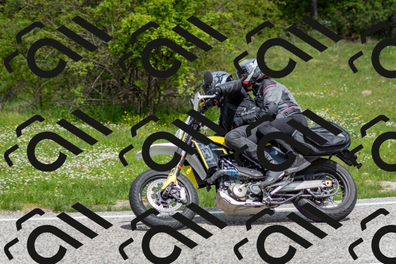 202505181128-DSC_8511_c2