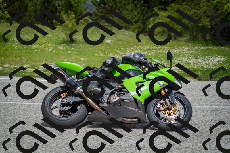 202505181128-DSC_8515_c2