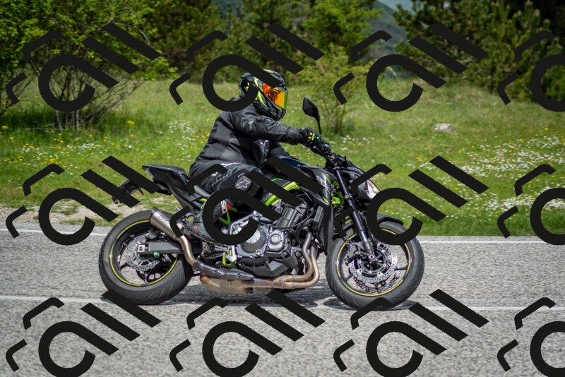 202505181128-DSC_8519_c2