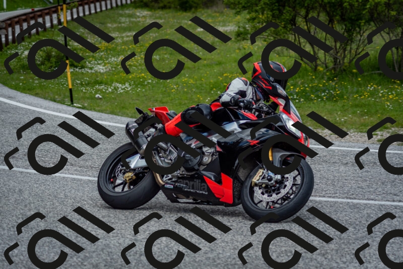 202505181128-DSC_8525_c2