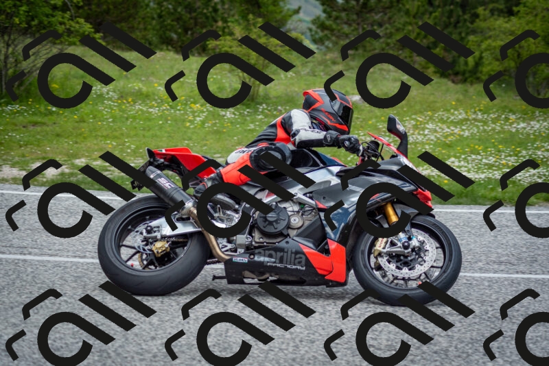 202505181128-DSC_8526_c2