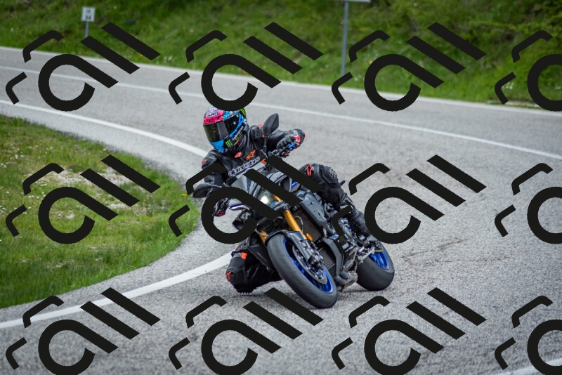 202505181129-DSC_8536_c2