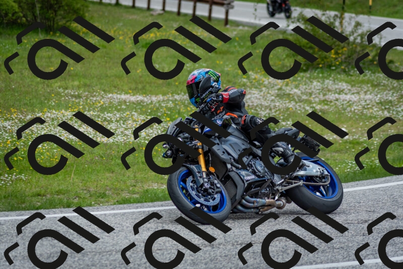 202505181129-DSC_8537_c2