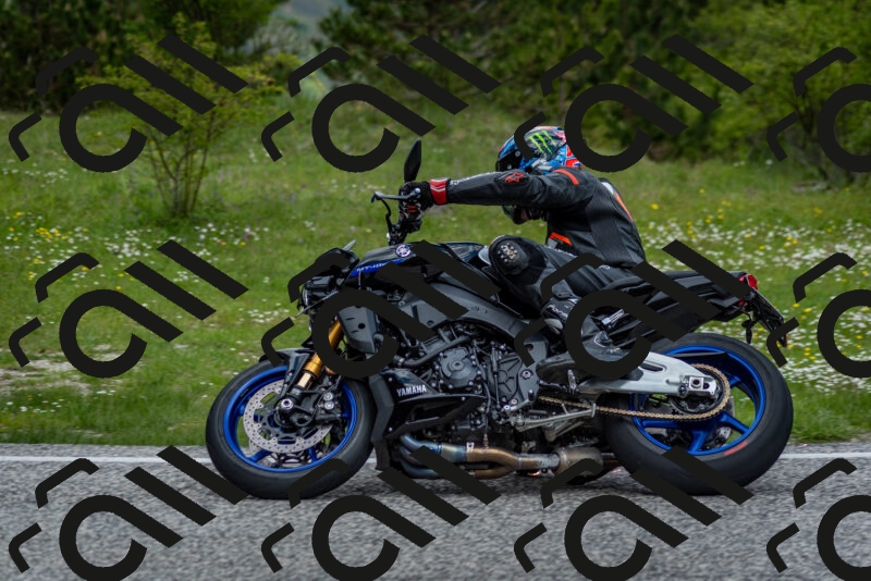 202505181129-DSC_8538_c2