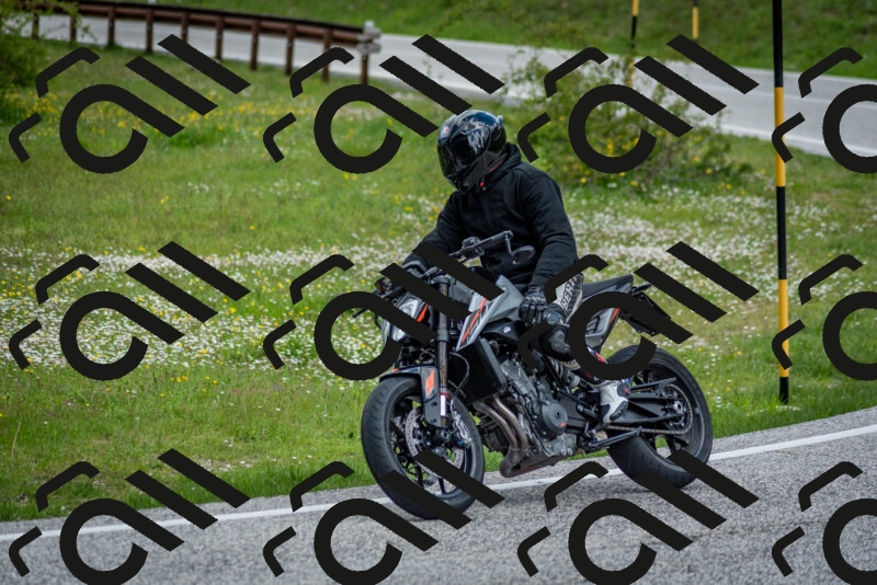 202505181129-DSC_8539_c2