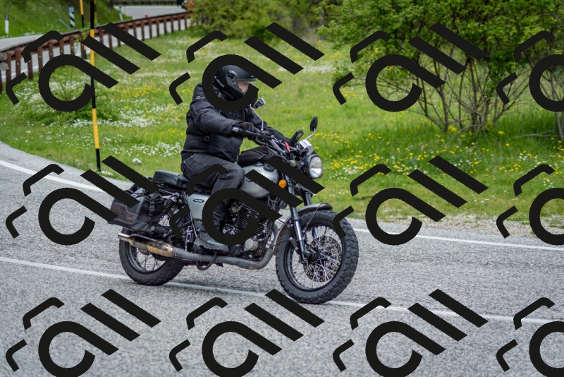 202505181129-DSC_8541_c2