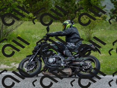 202505181129-DSC_8544_c2