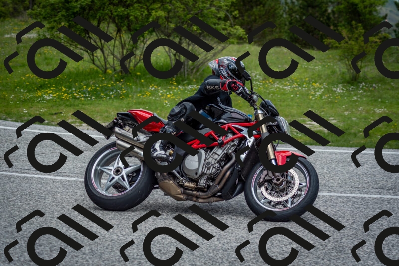 202505181129-DSC_8549_c2