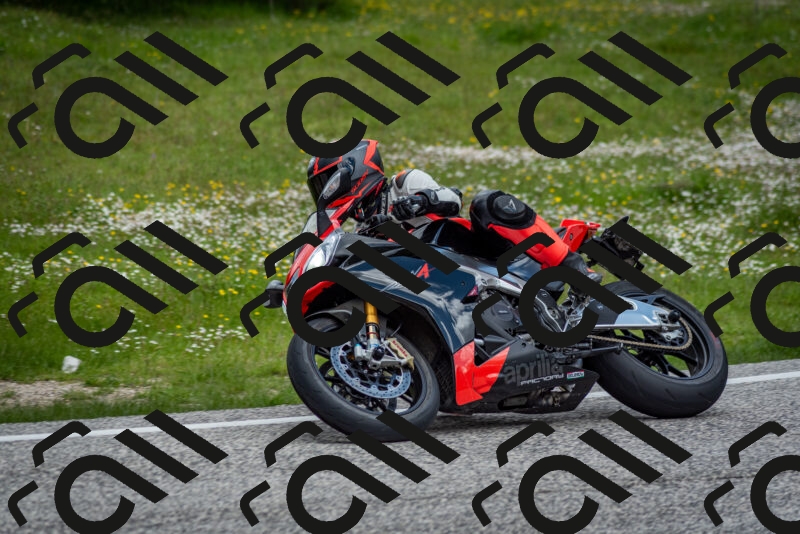 202505181130-DSC_8552_c2