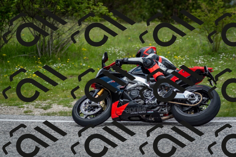 202505181130-DSC_8553_c2