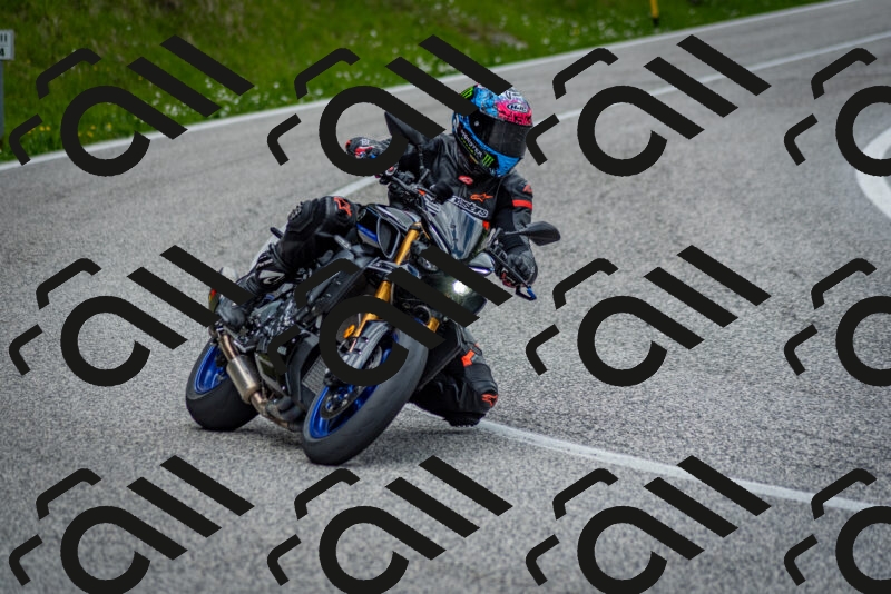 202505181130-DSC_8554_c2